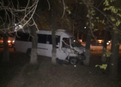 В Волгоградской области в ДТП пострадали 17 детей: чудом обошлось без смертей