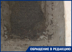 Тараканье гнездо, как из фильма ужасов, нашли в волгоградской высотке