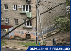 "Пошла за водой - убило током": в Волгограде рухнуло дерево на провода