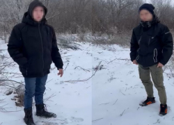 Похитили и резали ножом: под Волгоградом подростки ради славы убили соседскую собаку