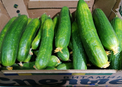 Прогноз Госдумы по ценам сбылся в волгоградских магазинах