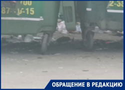 Крысиное нашествие сняли на видео в Волгограде