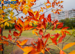 Ледяные выходные с -4 ожидают жителей Волгоградской области 