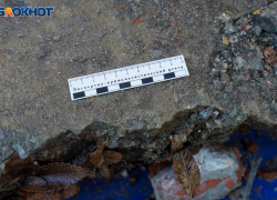 "Вы не будете кричать, нервы тратить на меня": опубликовали текст предсмертной записки погибшей школьницы в Волгограде