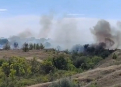 «Подбирается к жилым домам»: масштабный пожар напугал волгоградцев - видео