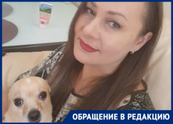 Волгоградка ищет собаку после странного нападения мужчины на нее во дворе дома