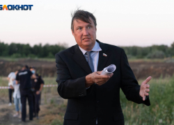 Депутат Волгоградской облдумы подал в суд на председателя облкомприроды