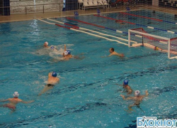 «Спартак-Волгоград» допущен к участию в чемпионате России по водному поло