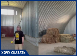 «Мы просто погибнем»: об острой нехватке сена заявил конный клуб под Волгоградом