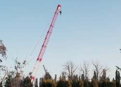 Гигантский строительный кран подняли в центре Волгограда 