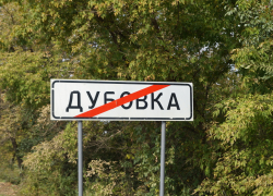 Дубовский депутат заявил о нападении чиновницы из-за птичьего помета