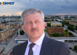 Чем запомнился волгоградцам рванувший в Госдуму мэр Владимир Марченко