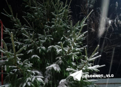 Первый снег выпал в Волгоградской области