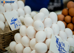 Каждая волгоградская курица несет по 263 яйца в год
