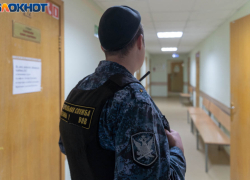Спешила с алабаем в ветклинику: озвучен приговор сбившей 9-летнюю девочку под Волгоградом