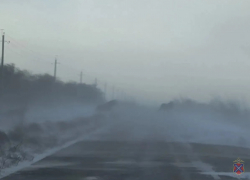 Волгоградский пастух без вести пропал в арктический шторм, спасая овец