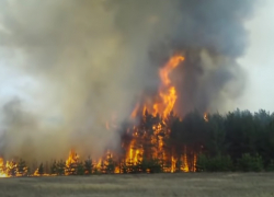 В Волгоградской области борются с лесными пожарами