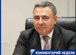 «Живодеры почувствовали безнаказанность»: волгоградский депутат вступился за бездомных собак 