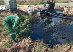 Нефтяное болото нашли вблизи Волгограда