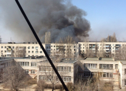 В Волгограде на площади 1 тысяча квадратных метров горит камыш 