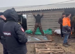 Массовая облава с дронами на мигрантов прошла в волгоградских теплицах