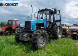 В Волгограде назвали отрасль, пережившую коронавирус с хорошей прибылью