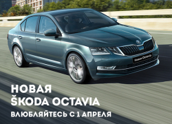 Вечеринка крутого папы: презентация новой Skoda Octavia в семейной обстановке