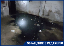 «Сидим в квартирах с комарами таких размеров, каких свет не видывал»: волгоградцы показали затопленный канализацией дом