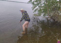 Полиция ловит дерзких браконьеров в центре Волгограда: видео