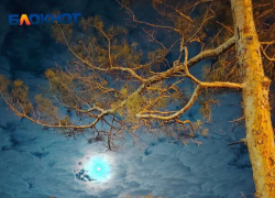 Фейерверк запустили после массированной атаки ВСУ на Волгоград