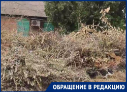 Волгоградцы уехали из частного сектора в квартиру из-за зловонной свалки 