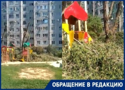 Дети вынуждены играть на солнцепеке в 40-градусную жару из-за спиленных властями деревьев