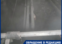 «Наш подвал превратился в бассейн с кипятком, но всем плевать», - волгоградка