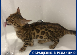 "Нам нечего пить": волгоградцы из 16-этажки остались без холодной воды