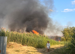 Бушующий в СНТ «Чайка» в Волгограде пожар попал на видео