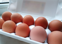 Резкий скачок цен на яйца зафиксирован в Волгограде