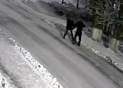 Нападение на прохожего возле кафе в Иловле попало на видео