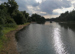 Жужжащих тварей миллионы: тучи мошки окружили Волгоград