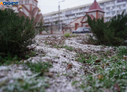 Гололедица и нулевая температура: какая погода ждет Волгоград 20 декабря