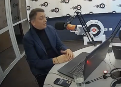 Волгоградский депутат из Госдумы выступил за убийство бродячих собак