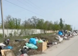 Горы мусора у Центрального кладбище Волгограда вызвали бурные споры 