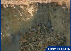 Ноу-хау в утилизации листьев не оценили жители Краснооктябрьского района Волгограда