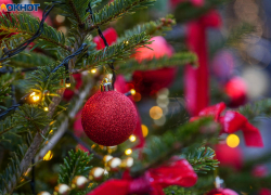 "Это сто пудов на Бекетовке в шлаках": волгоградцев развеселило новогоднее украшение центра Москвы