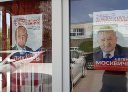 Мэр Волгограда и депутат из Брянска пиарятся на мёртвых животных