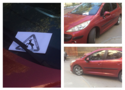 Волгоградцы пометили выдающегося "оленя" на красном автомобиле