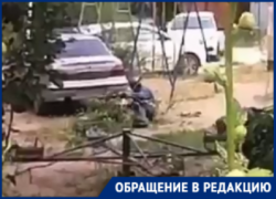 «Рабочий в умате валяется с ветками»: странный опил сняли на видео в Волгограде