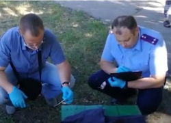 Появилось видео с места расследования кровавой бойни в Новоаннинском