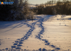 Статистику исчезновений людей назвали в Волгограде