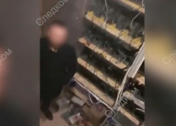 Инженер «Россетей» в Волгограде помогал электричеством для заработка криптовалюты