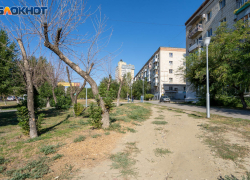 В Волгограде три депутата сложили свои полномочия